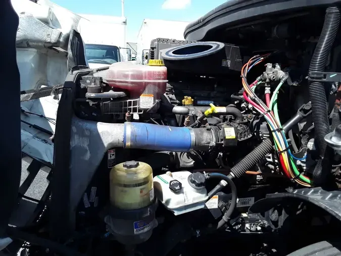 2019 FREIGHTLINER NEW CASCADIA 116