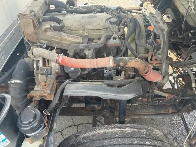 2019 ISUZU NPRd3349983ae7d444220cd49937a82b34e