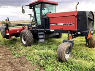 2004 Case IH WDX901