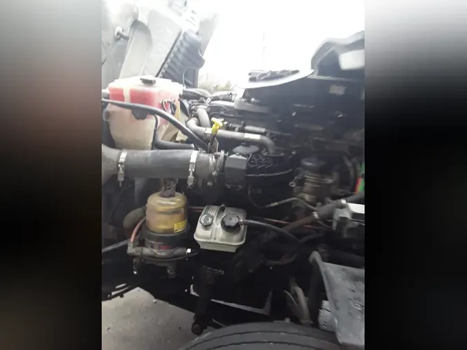 2019 FREIGHTLINER/MERCEDES CASCADIA 125