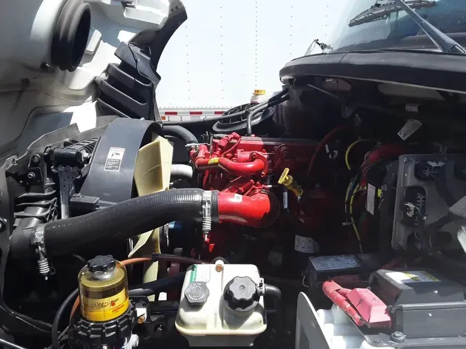 2019 FREIGHTLINER/MERCEDES M2 106