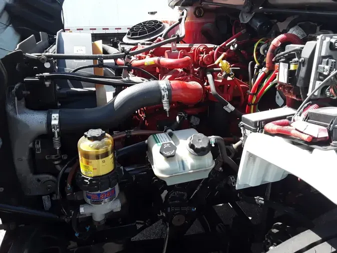 2019 FREIGHTLINER/MERCEDES M2 106