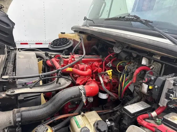 2019 FREIGHTLINER/MERCEDES M2 106