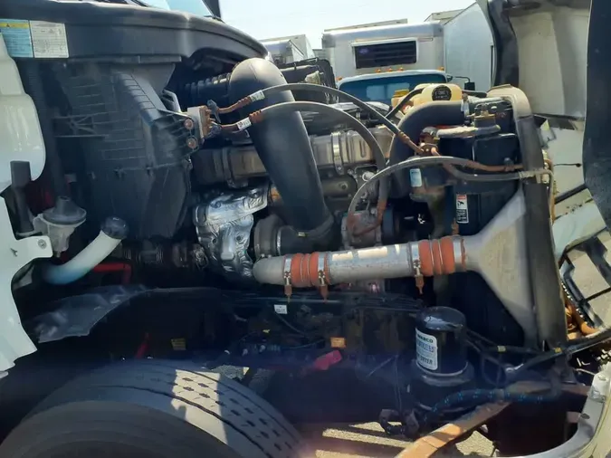2019 FREIGHTLINER NEW CASCADIA 126