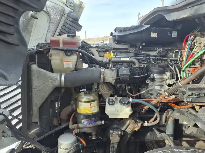 2019 FREIGHTLINER/MERCEDES CASCADIA 125