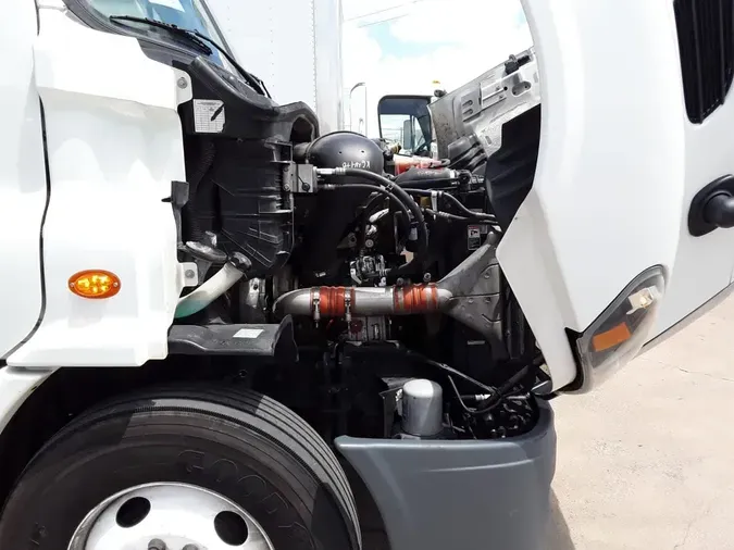 2019 FREIGHTLINER CASCADIA 113
