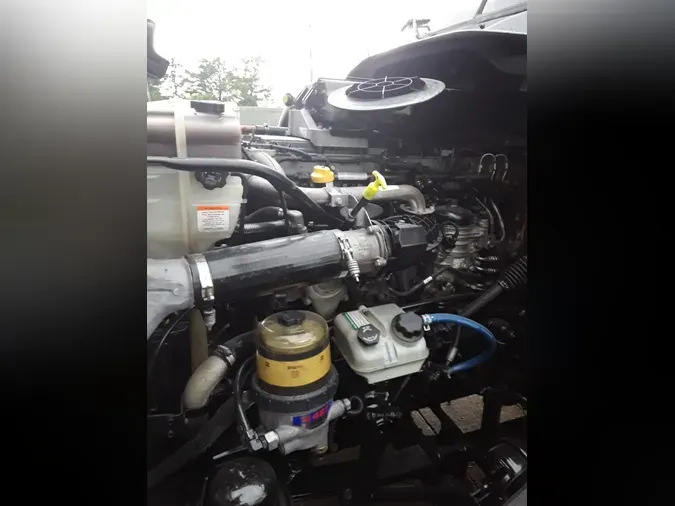 2019 FREIGHTLINER CASCADIA 125