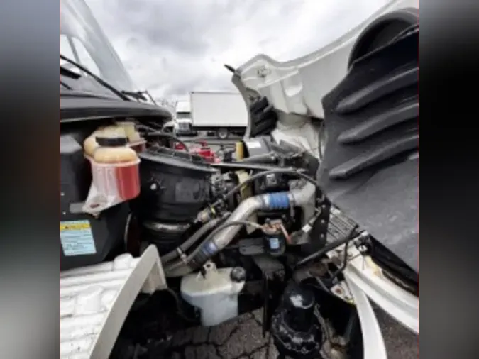 2019 FREIGHTLINER/MERCEDES M2 106