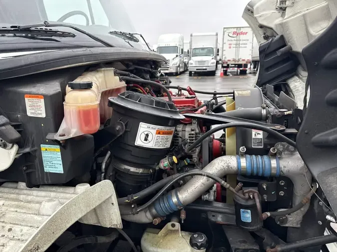 2019 FREIGHTLINER/MERCEDES M2 106dd5a27e1c0fd8f8736c4dc09e655a69f