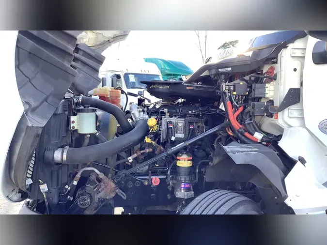 2020 International LTddbdabf8226b824073cc107a822c568e