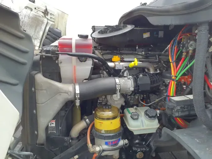 2019 FREIGHTLINER CASCADIA 113
