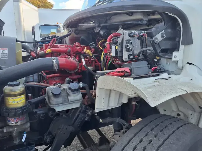 2020 FREIGHTLINER/MERCEDES M2 106e1f3cfca2f8d11ea4ad0b8476314d272