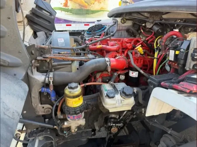 2019 FREIGHTLINER/MERCEDES M2 106