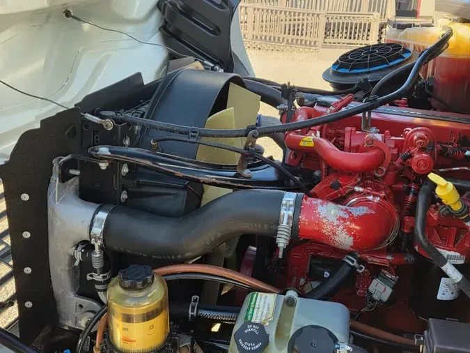 2019 FREIGHTLINER/MERCEDES M2 106