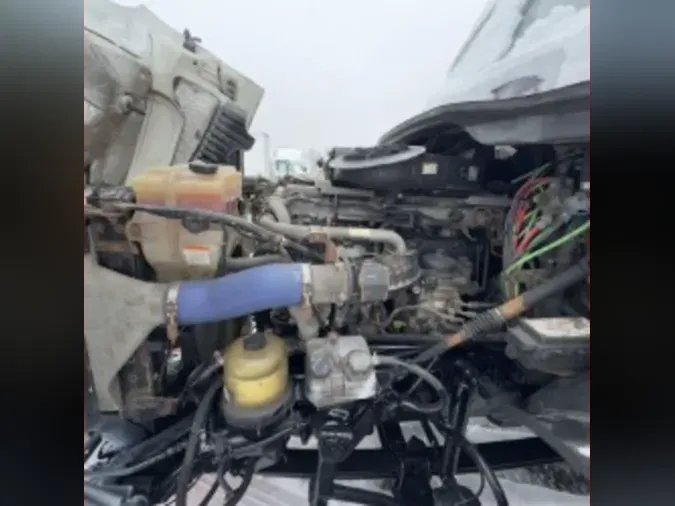 2019 FREIGHTLINER/MERCEDES CASCADIA 125