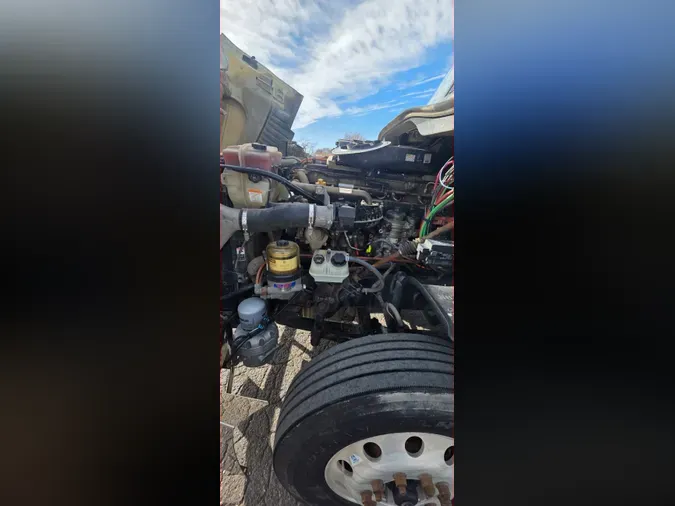 2019 FREIGHTLINER/MERCEDES CASCADIA 125e9be45eb5894e11a83d4a85a393d0f5c