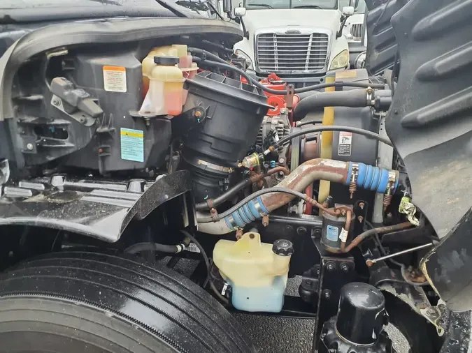 2019 FREIGHTLINER/MERCEDES M2 106edbe6572eeb7f4ef008ae99d50278a60