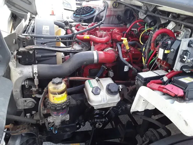 2019 FREIGHTLINER/MERCEDES M2 106ef5ac56c6cf3f6d4f607bae099cd9d4f