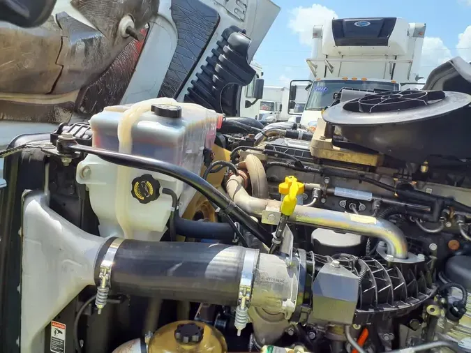 2019 FREIGHTLINER CASCADIA 125