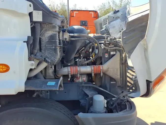 2019 FREIGHTLINER/MERCEDES CASCADIA 113