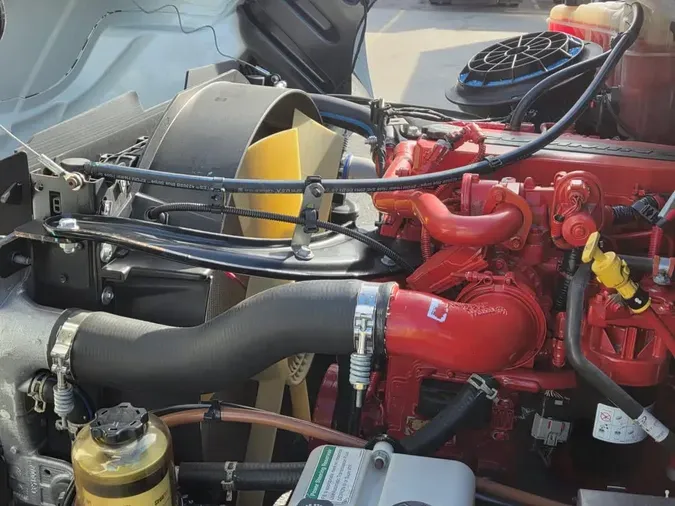 2019 FREIGHTLINER/MERCEDES M2 106