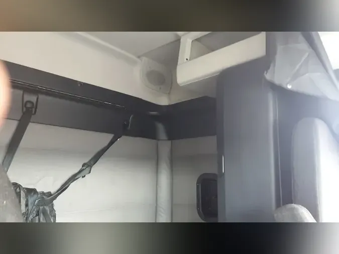 2019 FREIGHTLINER/MERCEDES PT126064ST