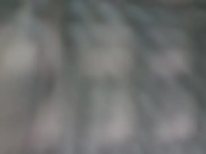 2019 VOLVO VNL64T-300