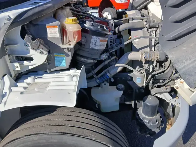 2019 FREIGHTLINER/MERCEDES M2 106