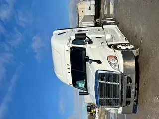 2019 FREIGHTLINER/MERCEDES CASCADIA 125